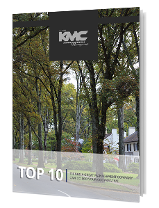 Kirkpatrick Cooperative Top 10 Download